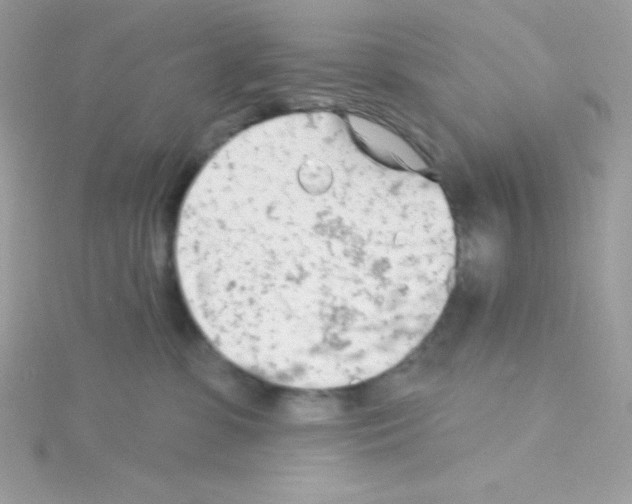 X0000114400331200911271522