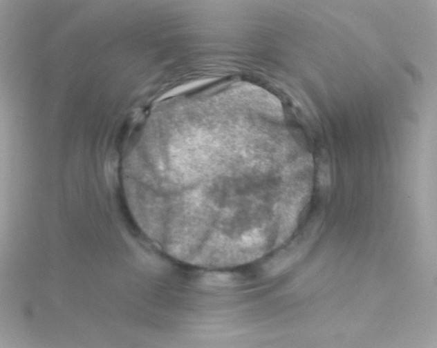 X0000114400332200911271522