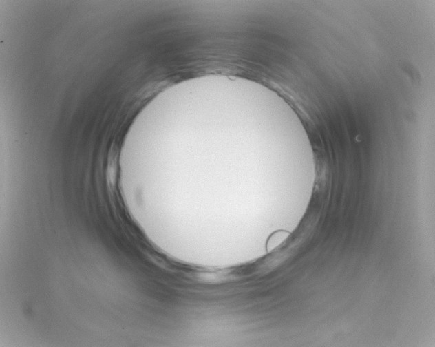 X0000114400334200911271522