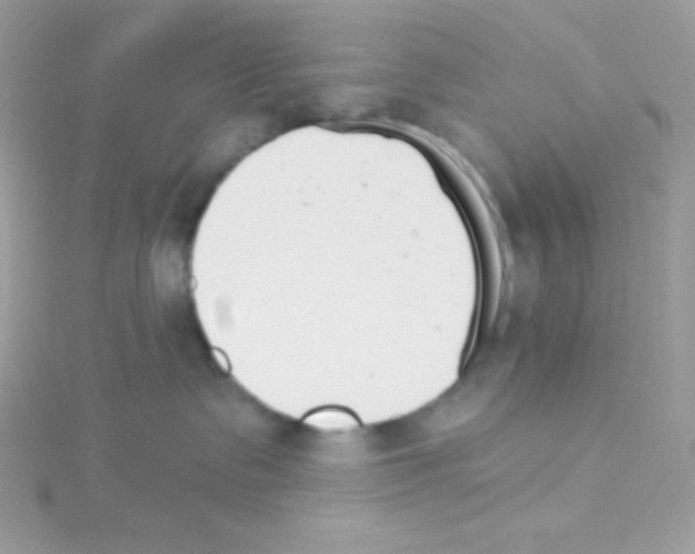 X0000114400335200911271522