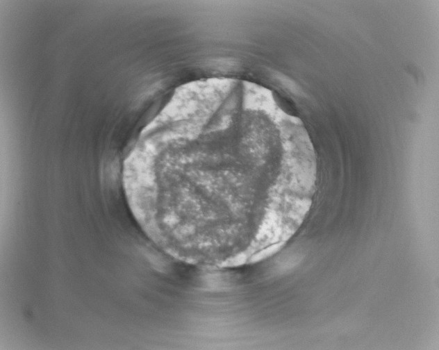 X0000114400336200911271521