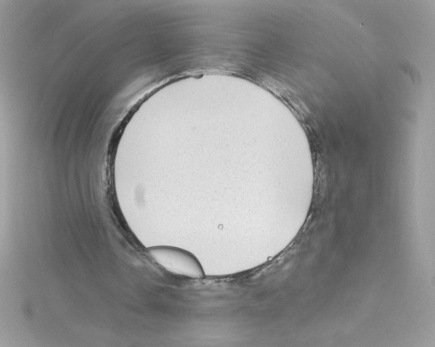 X0000114400338200911271521