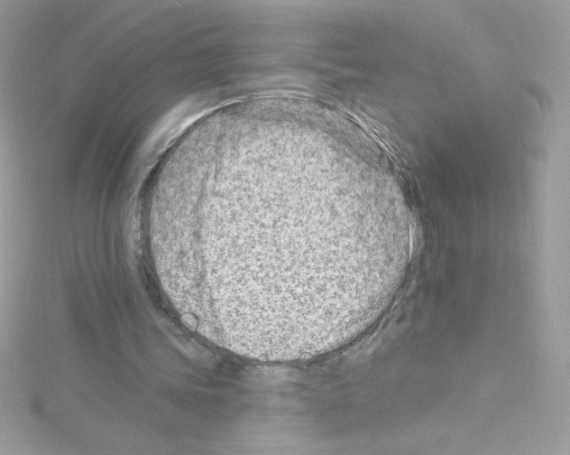 X0000114400339200911271521