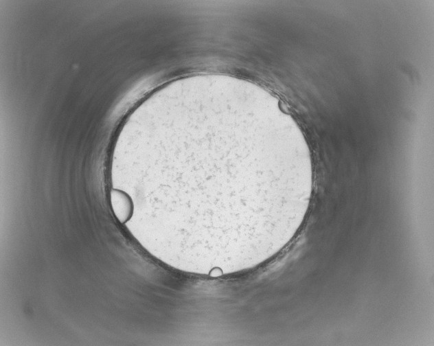 X0000114400341200911271521