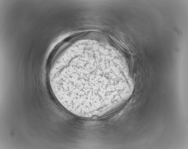 X0000114400342200911271521