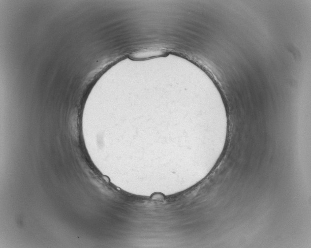 X0000114400345200911271521