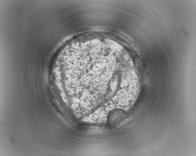 X0000114400347200911271521