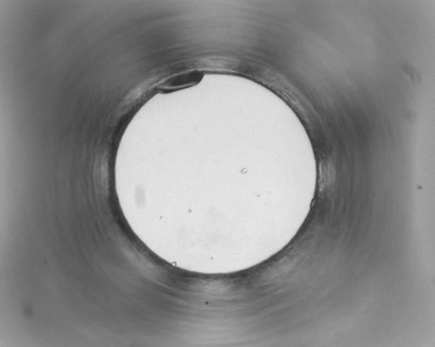 X0000114400349200911271521