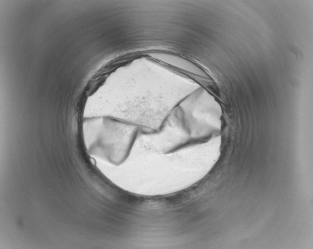 X0000114400350200911271521