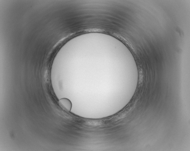 X0000114400351200911271521