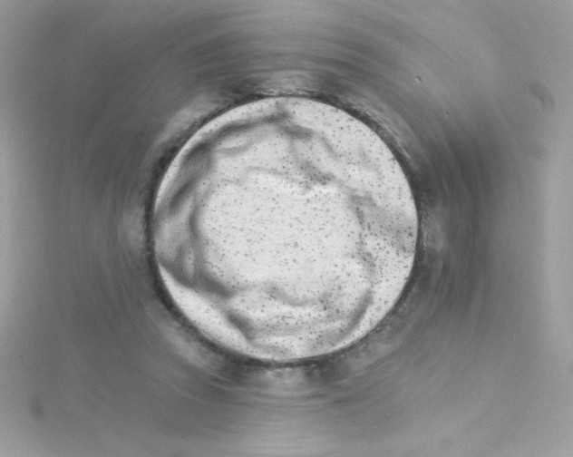 X0000114400353200911271521