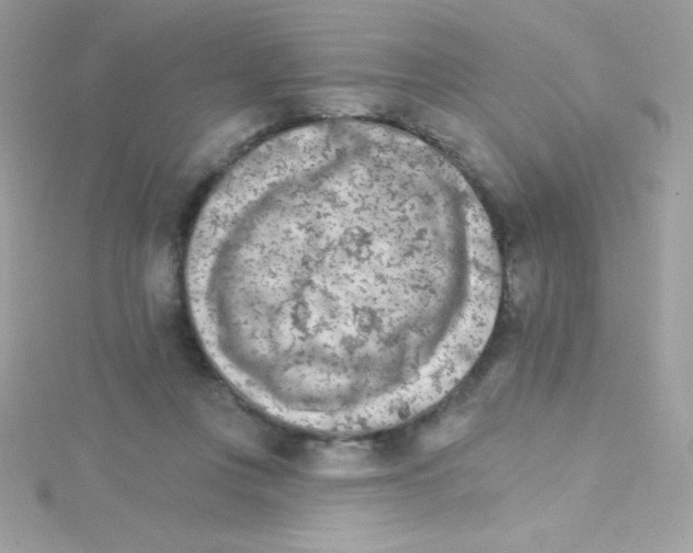 X0000114400359200911271521