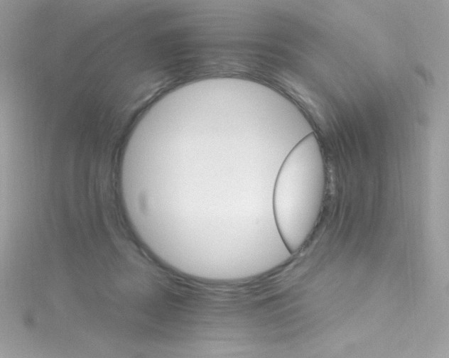 X0000114400362200911271521