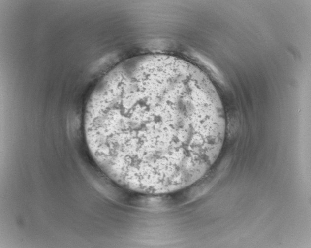 X0000114400365200911271521