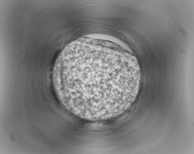 X0000114400366200911271521