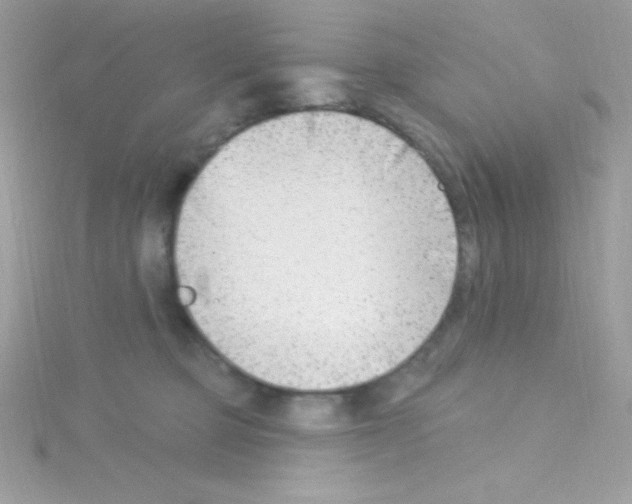 X0000114400373200911271521