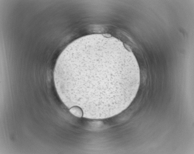 X0000114400374200911271521