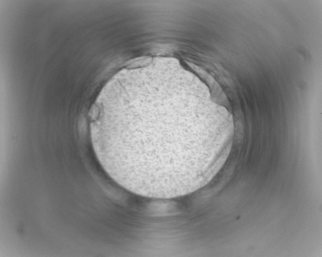 X0000114400375200911271521