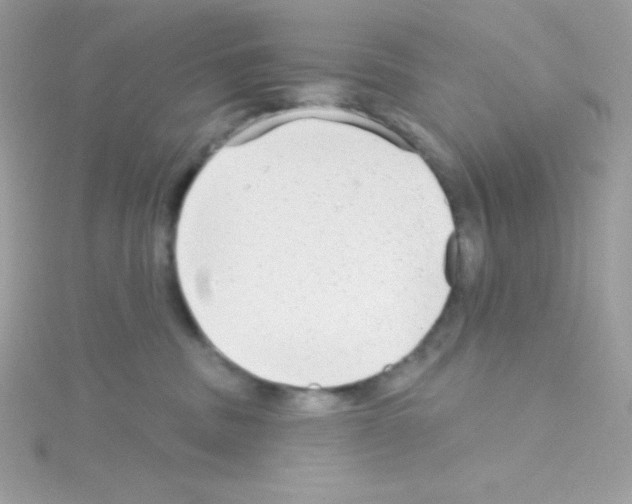 X0000114400379200911271521