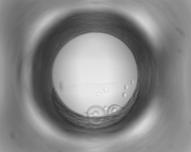 X0000114400383200911271521