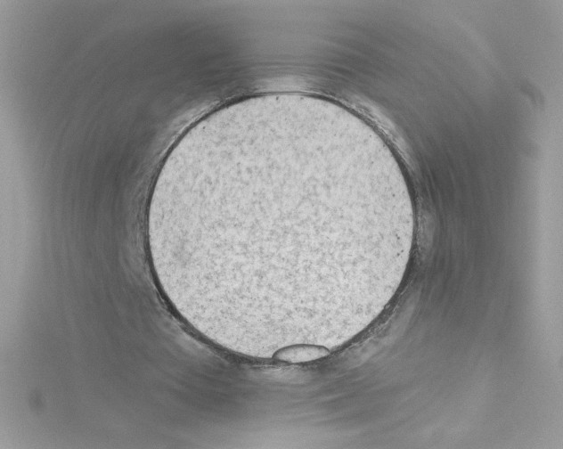 X0000114400385200911271521