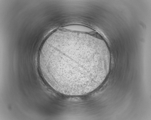 X0000114400386200911271521