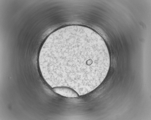 X0000114400389200911271521