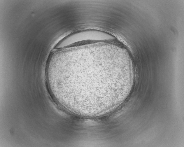 X0000114400390200911271521