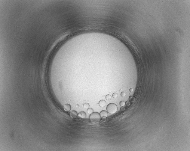 X0000114400396200911271521