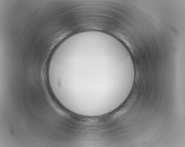 X0000114400398200911271521