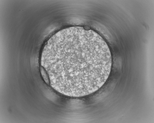 X0000114400399200911271521