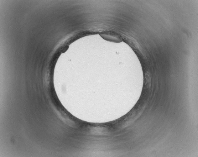 X0000114400400200911271521