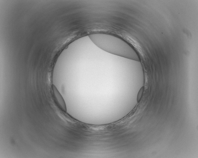 X0000114400401200911271521