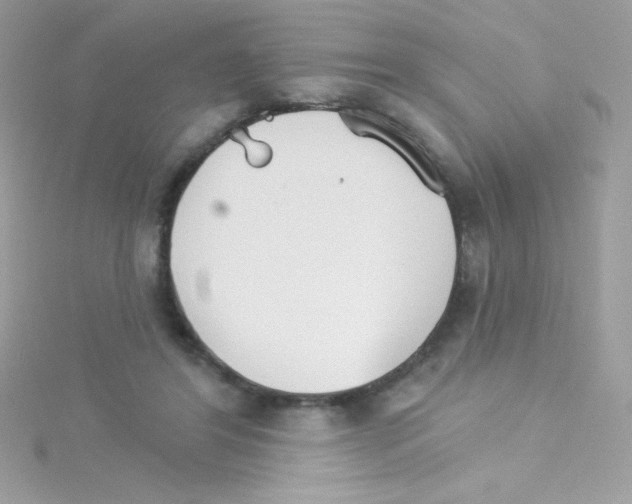 X0000114400404200911271521