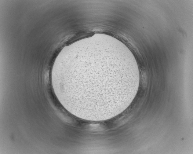 X0000114400406200911271521