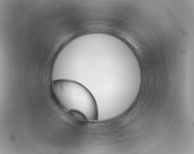 X0000114400407200911271521