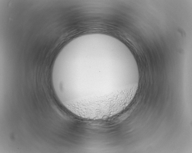 X0000114400408200911271521