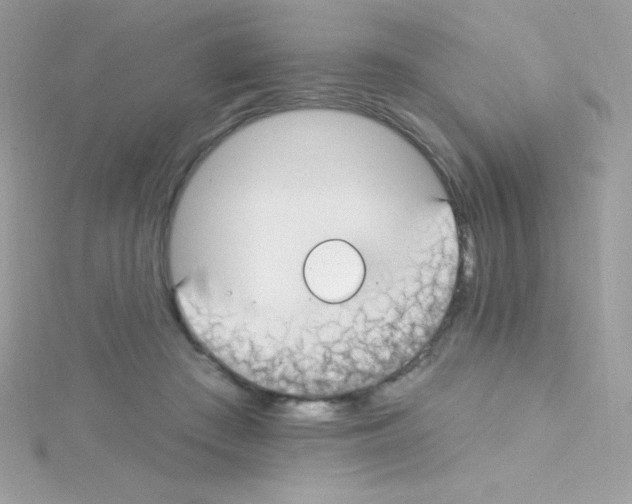 X0000114400409200911271521