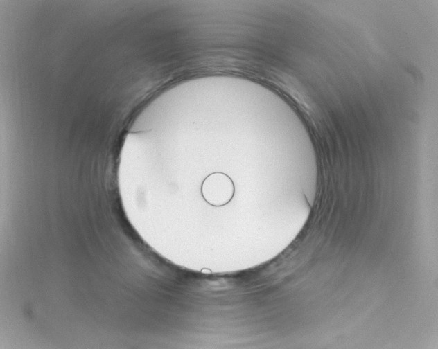 X0000114400411200911271521