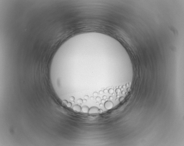 X0000114400412200911271521