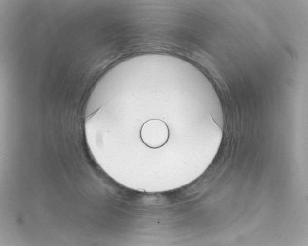 X0000114400415200911271521