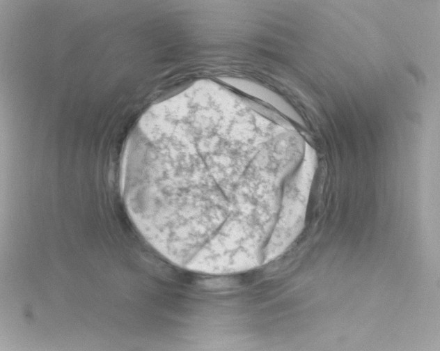 X0000114400417200911271521