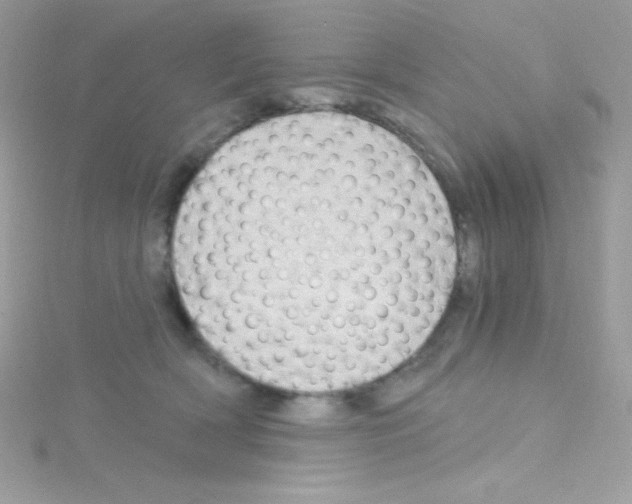 X0000114400418200911271521