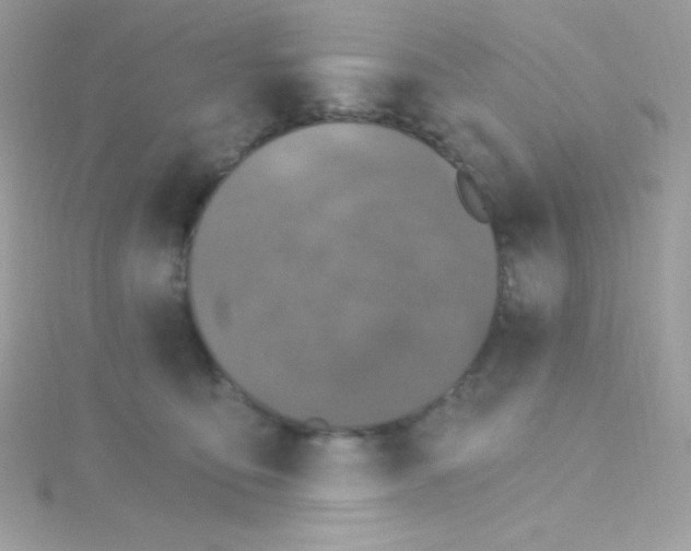 X0000114400419200911271521