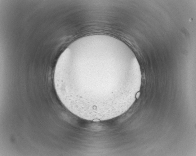 X0000114400423200911271521