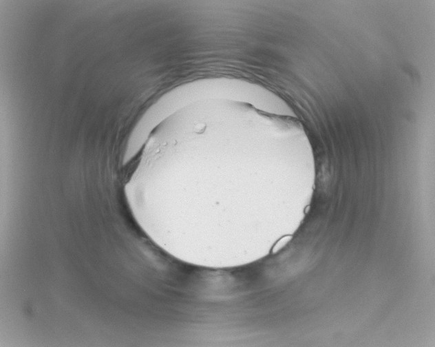 X0000114400424200911271520