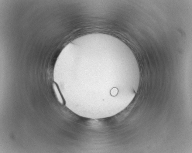 X0000114400425200911271520