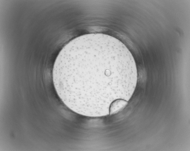 X0000114400426200911271520