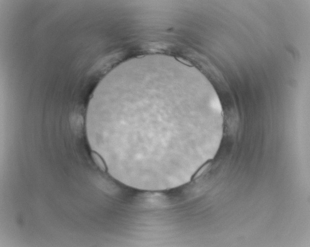 X0000114400427200911271520