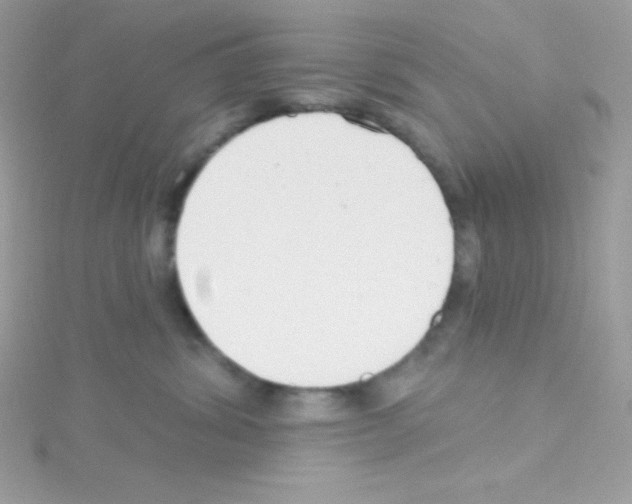 X0000114400428200911271520